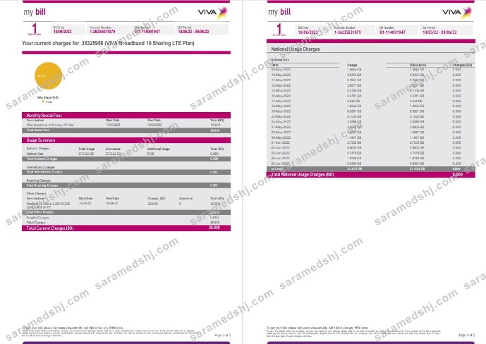 Bahrain Viva my utility bill Word and PDF template, 5 pages 3 4